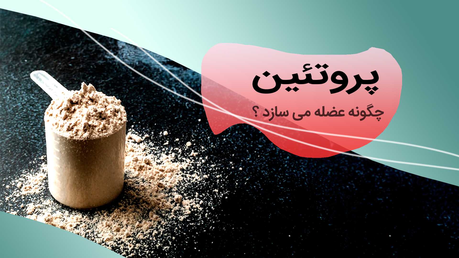 همه چیز درباره پروتئین ها